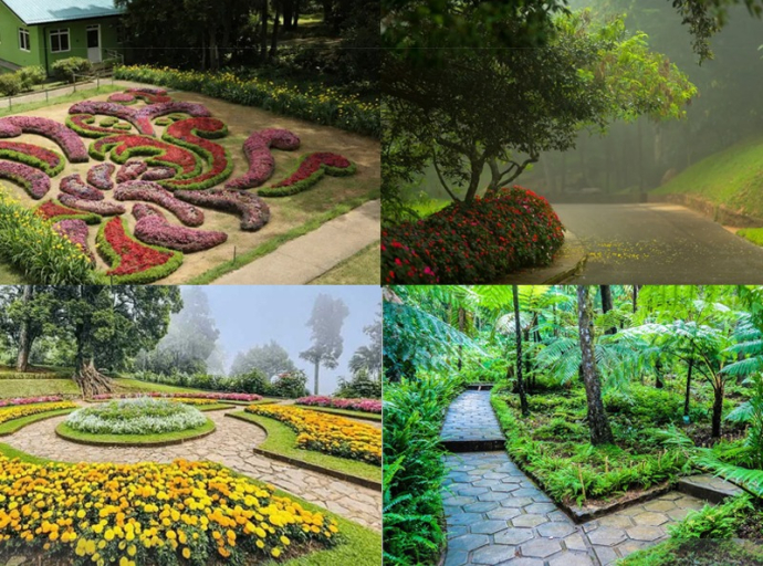 2025 වසරේදී ජාතික උද්භිද උද්‍යාන  ආදායම රුපියල් බිලියනය ඉක්මවයි